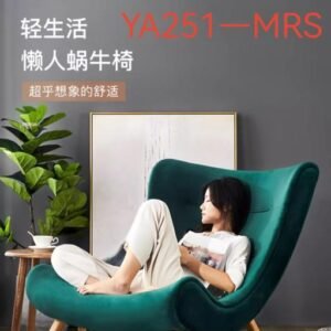 Shenzhen Series YS251-NRS Leisure Chair - Number 94#